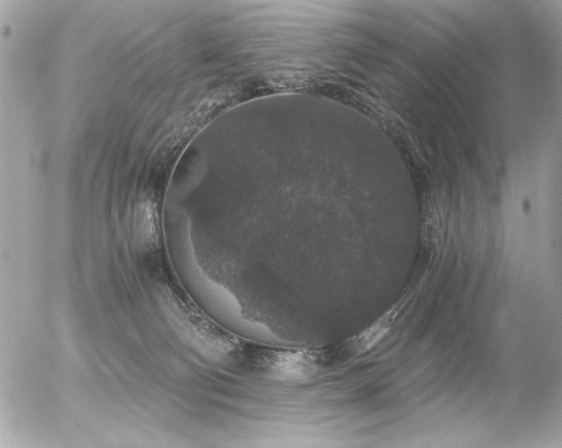 X0000056320130200508261204