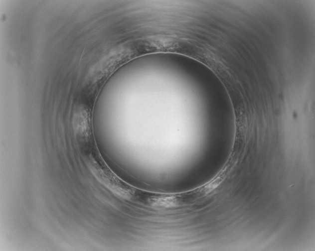 X0000056320132200508261204