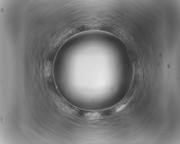 X0000056320133200508261204