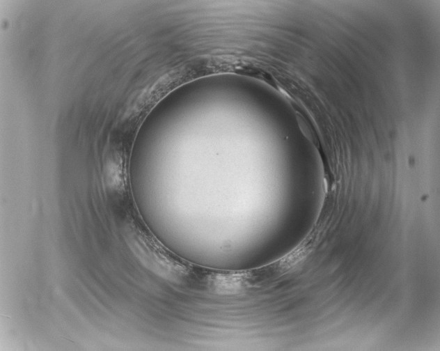 X0000056320134200508261204