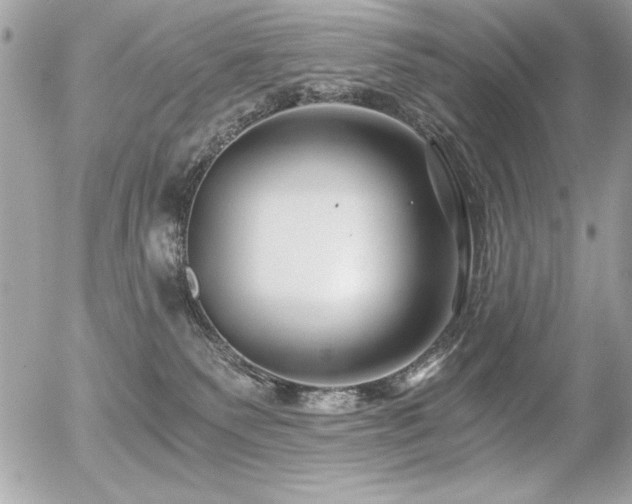 X0000056320135200508261204