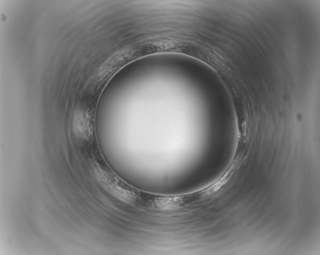X0000056320136200508261204