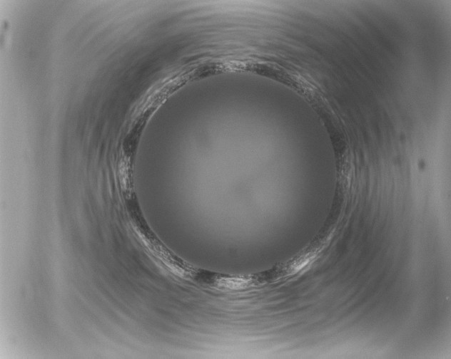 X0000056320139200508261204
