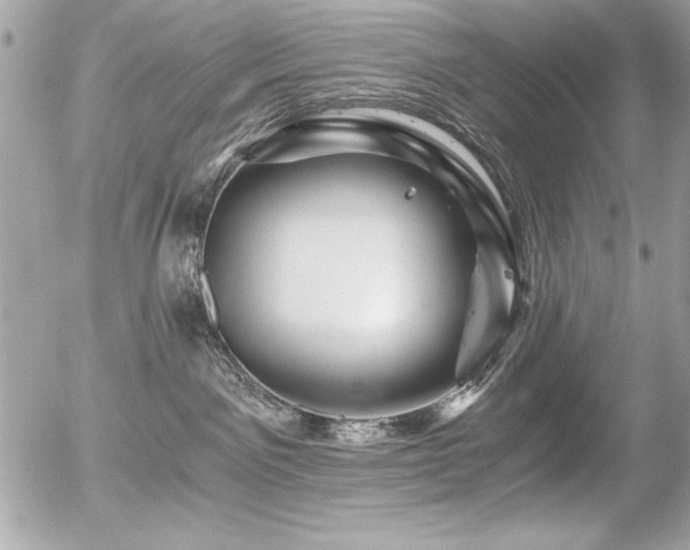 X0000056320141200508261204