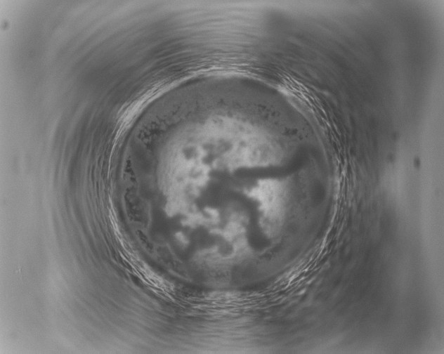 X0000056320145200508261203