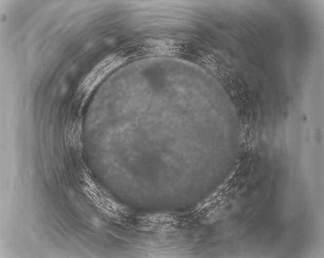 X0000056320146200508261203