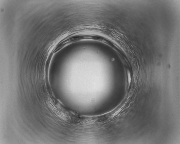 X0000056320148200508261204