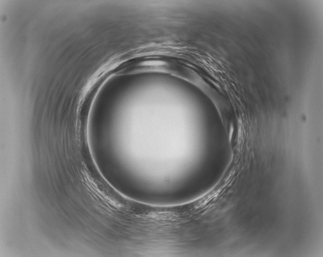 X0000056320150200508261204