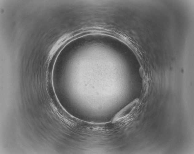 X0000056320151200508261204
