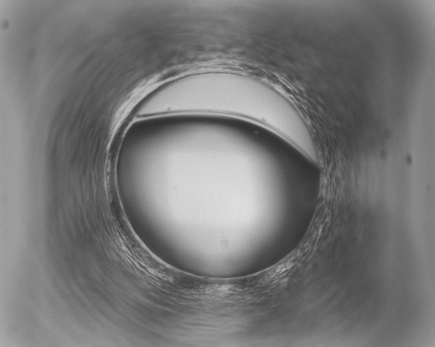 X0000056320152200508261204