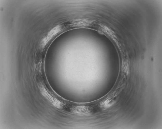 X0000056320153200508261204