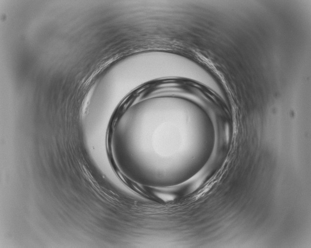 X0000056320154200508261204