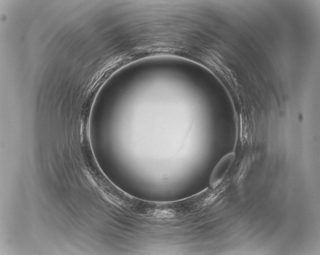 X0000056320157200508261204