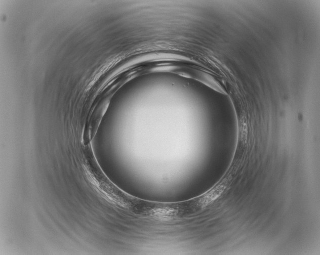 X0000056320158200508261204