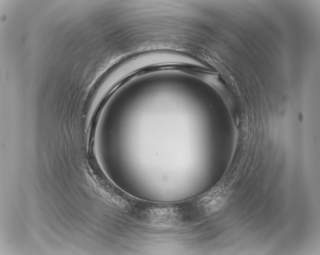 X0000056320160200508261204