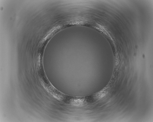 X0000056320163200508261204