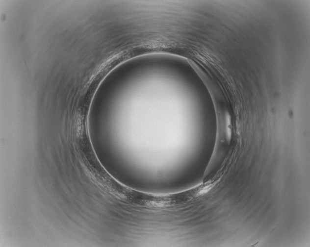 X0000056320164200508261204