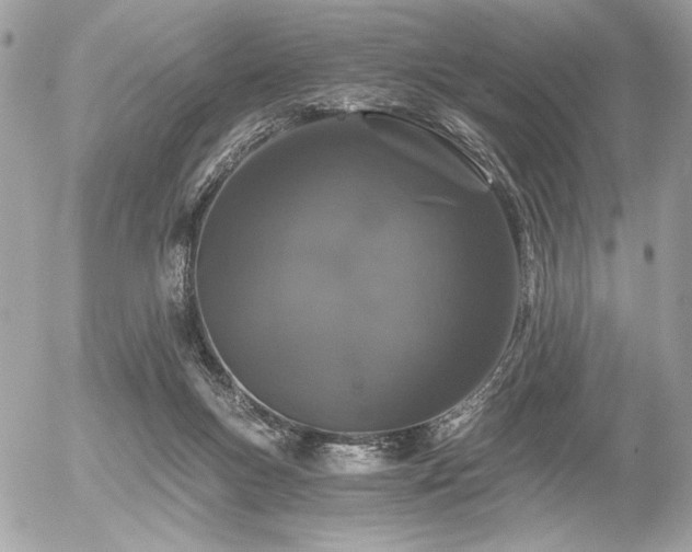 X0000056320167200508261204