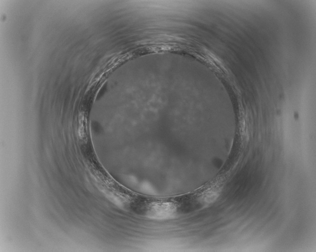 X0000056320169200508261204
