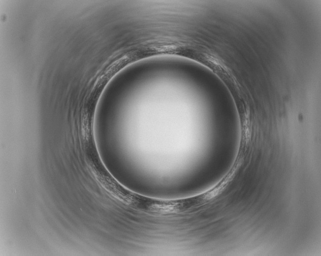 X0000056320170200508261204