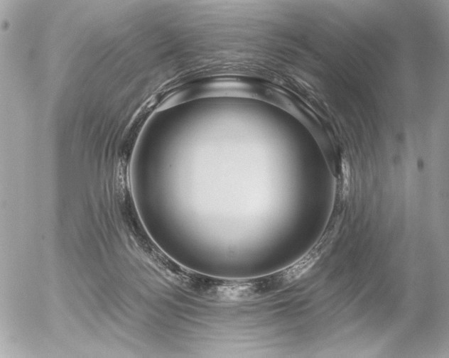 X0000056320172200508261204