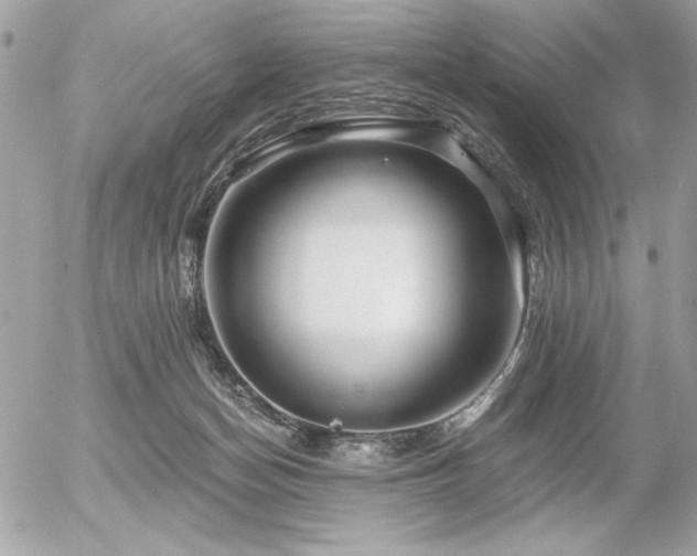 X0000056320174200508261204