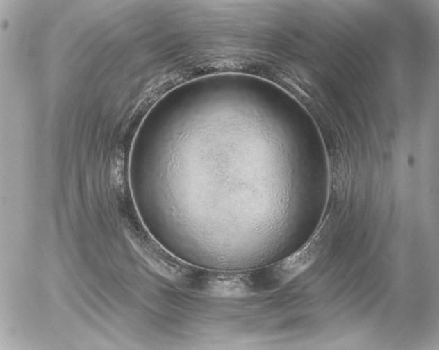 X0000056320175200508261204