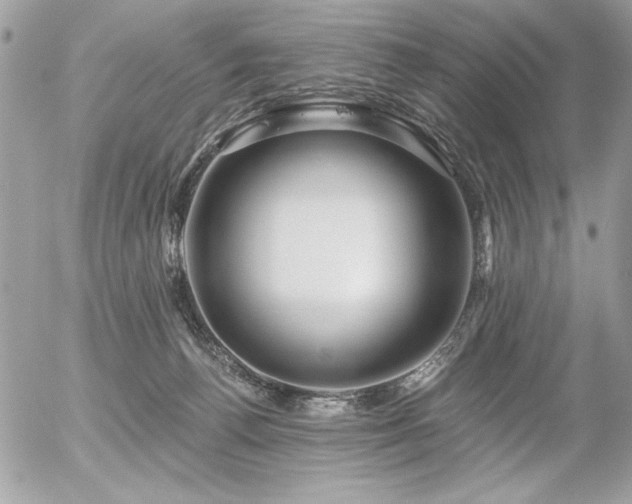 X0000056320176200508261204