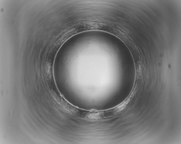 X0000056320178200508261204