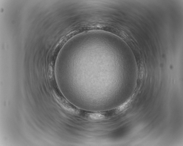 X0000056320183200508261204