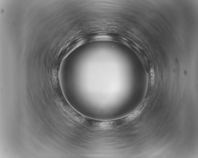 X0000056320184200508261204