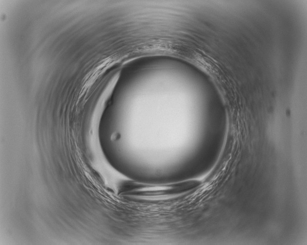 X0000056320193200508261203