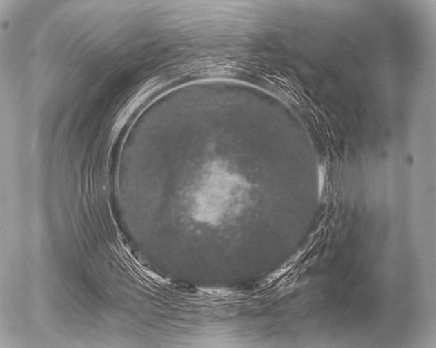 X0000056320195200508261203