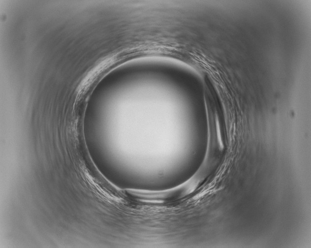X0000056320197200508261203
