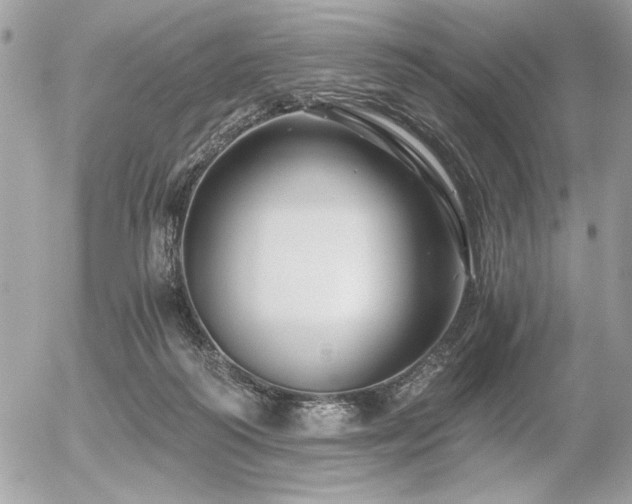 X0000056320218200508261203