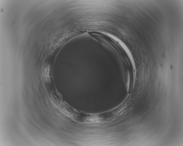 X0000056320219200508261203