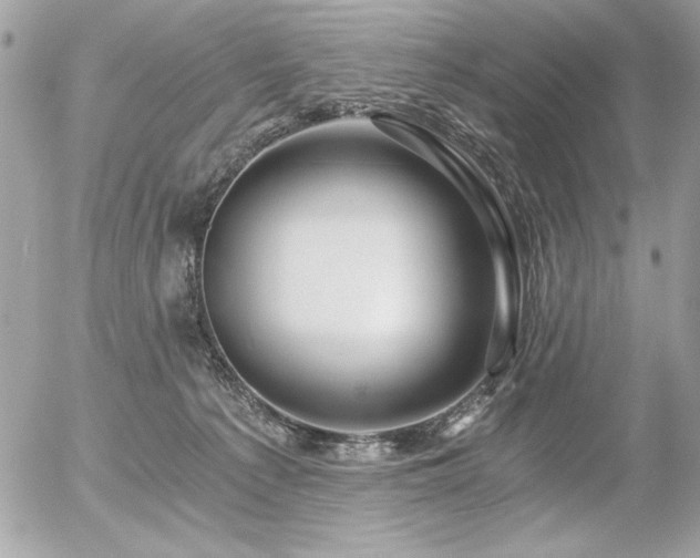 X0000056320225200508261203