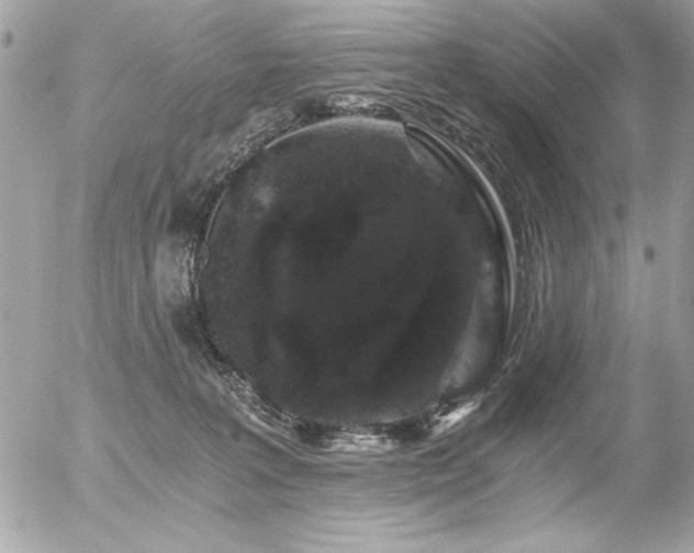 X0000056320227200508261203