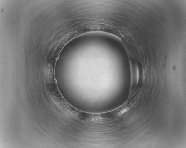 X0000056320228200508261203