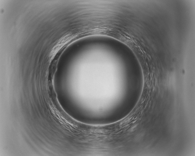 X0000056320242200508261202