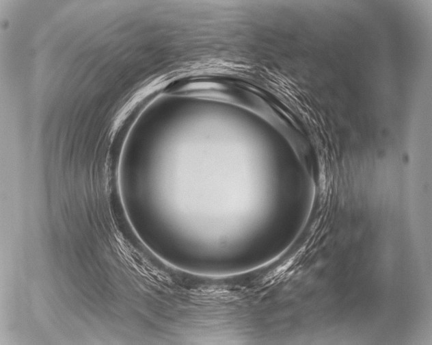 X0000056320244200508261202