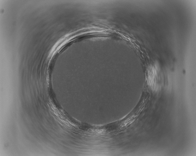 X0000056320247200508261202