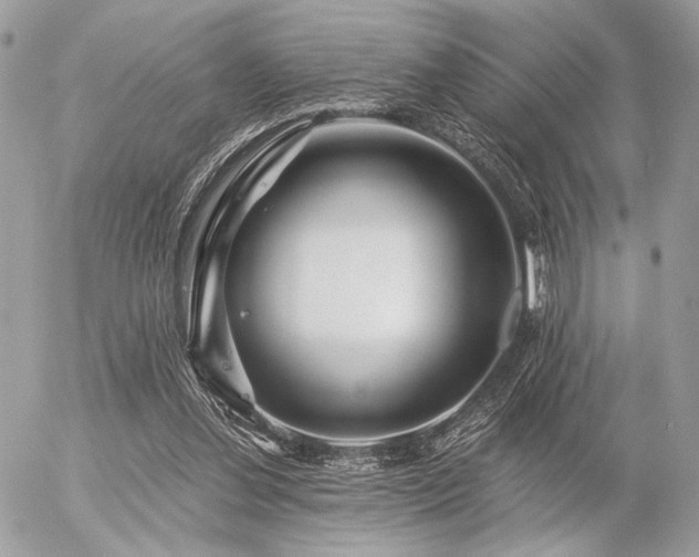 X0000056320252200508261202