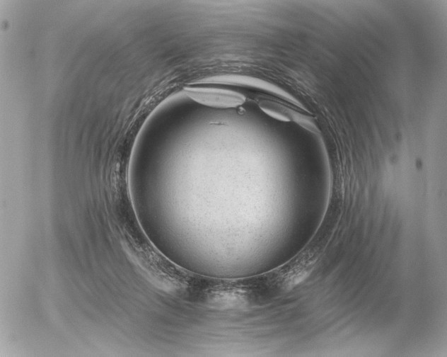 X0000056320263200508261202
