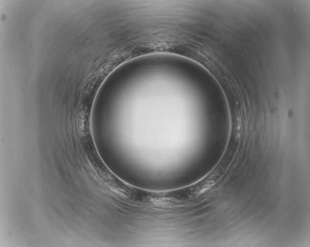 X0000056320268200508261202