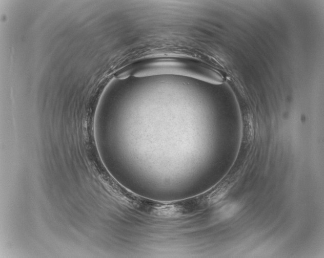 X0000056320269200508261202