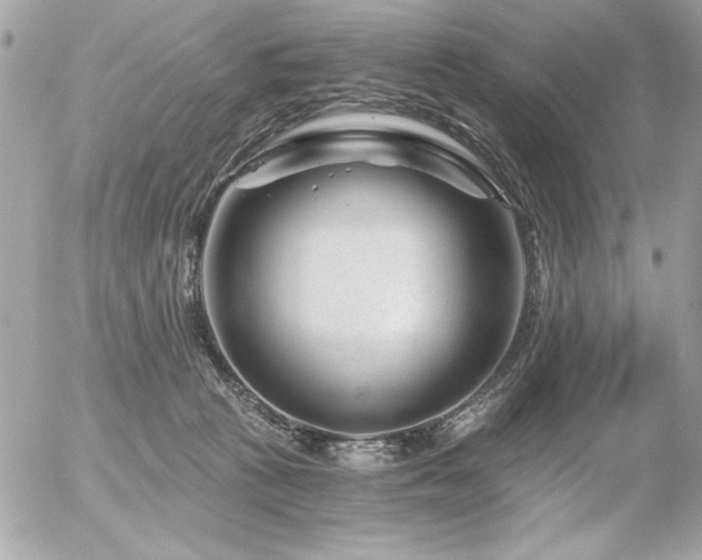 X0000056320273200508261202