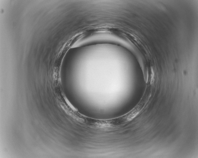 X0000056320284200508261203