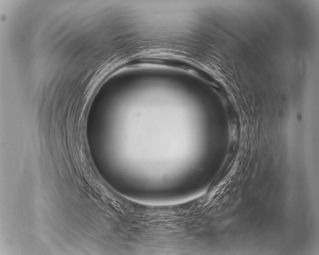 X0000056320289200508261202