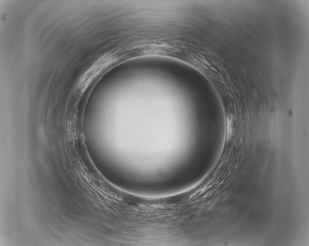 X0000056320291200508261202
